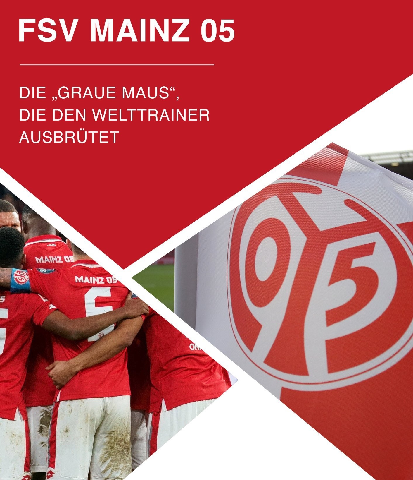 Akte Mainz — Club-Dossier 1. FSV Mainz 05